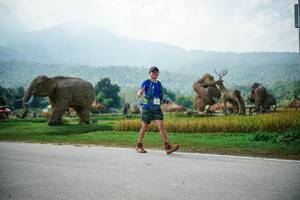 BIB: 
                            <button type="button" onclick="openModal(22436678)" class="btn btn-primary btn-sm float-right btn-popup" data-toggle="modal" data-target=".modal-high-quality">
                        <i class="fas fa-shopping-cart"></i> Add to Cart
                    </button>
                                            <button type="button" onclick="isThisMe(22436678, true)" class="btn btn-success btn-sm float-right btn-popup btn-isme hidden" data-toggle="tooltip" data-placement="bottom" title="นี่คือรูปของคุณใช่ไหม คลิกที่นี่เพื่อเอาเข้าอัลบั้ม">
                        <i class="fas fa-plus"></i> Add to album
                    </button>
                    <button type="button" onclick="isThisMe(22436678, false)" class="btn btn-warning btn-sm float-right btn-popup btn-isnotme hidden">
                        <i class="fas fa-ban"></i> Remove from album
                    </button>